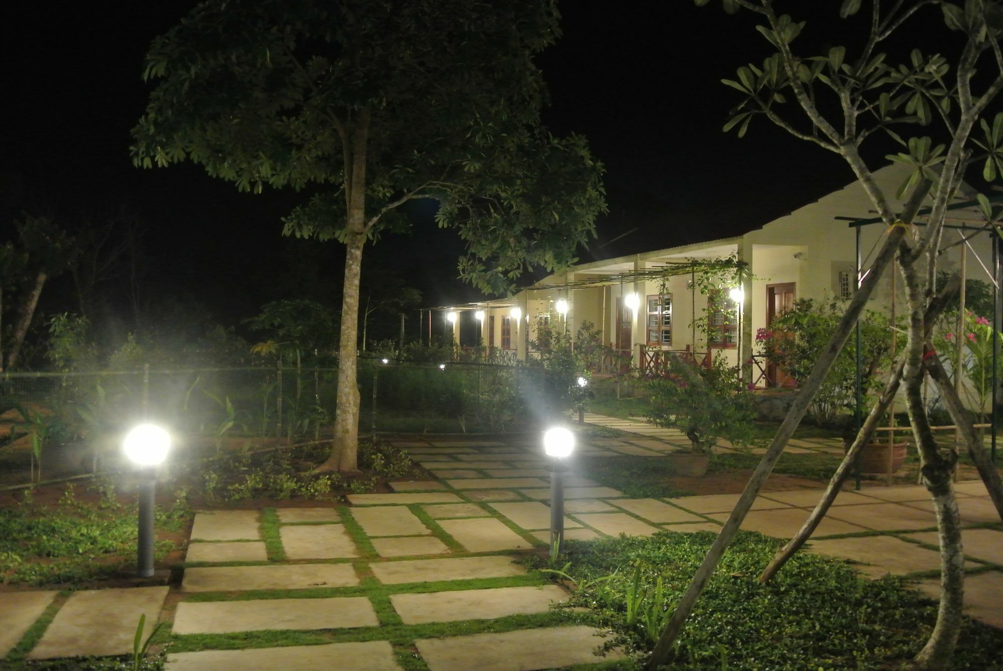 Spring Garden Homestay Phú Quốc Exterior foto