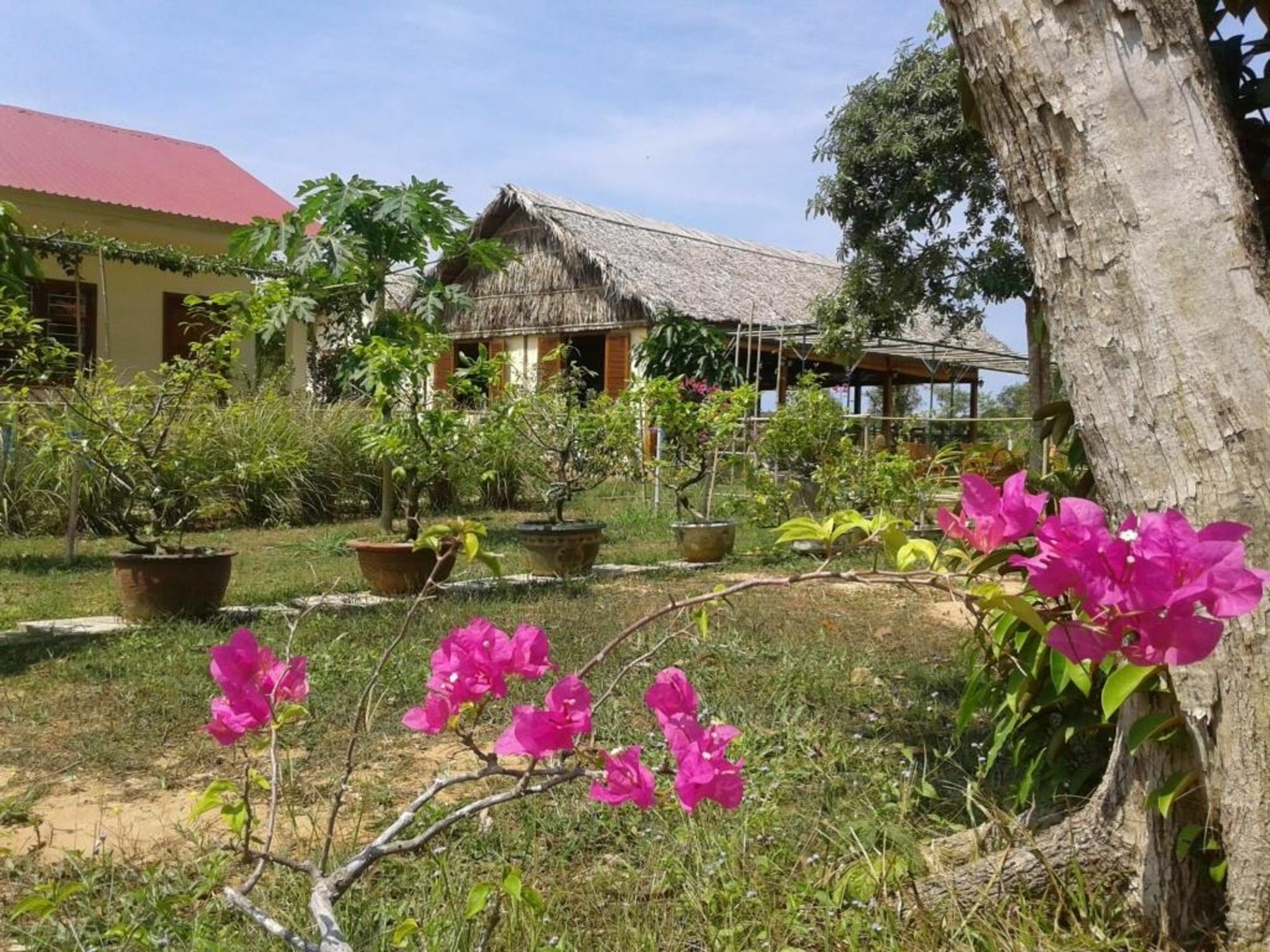 Spring Garden Homestay Phú Quốc Exterior foto